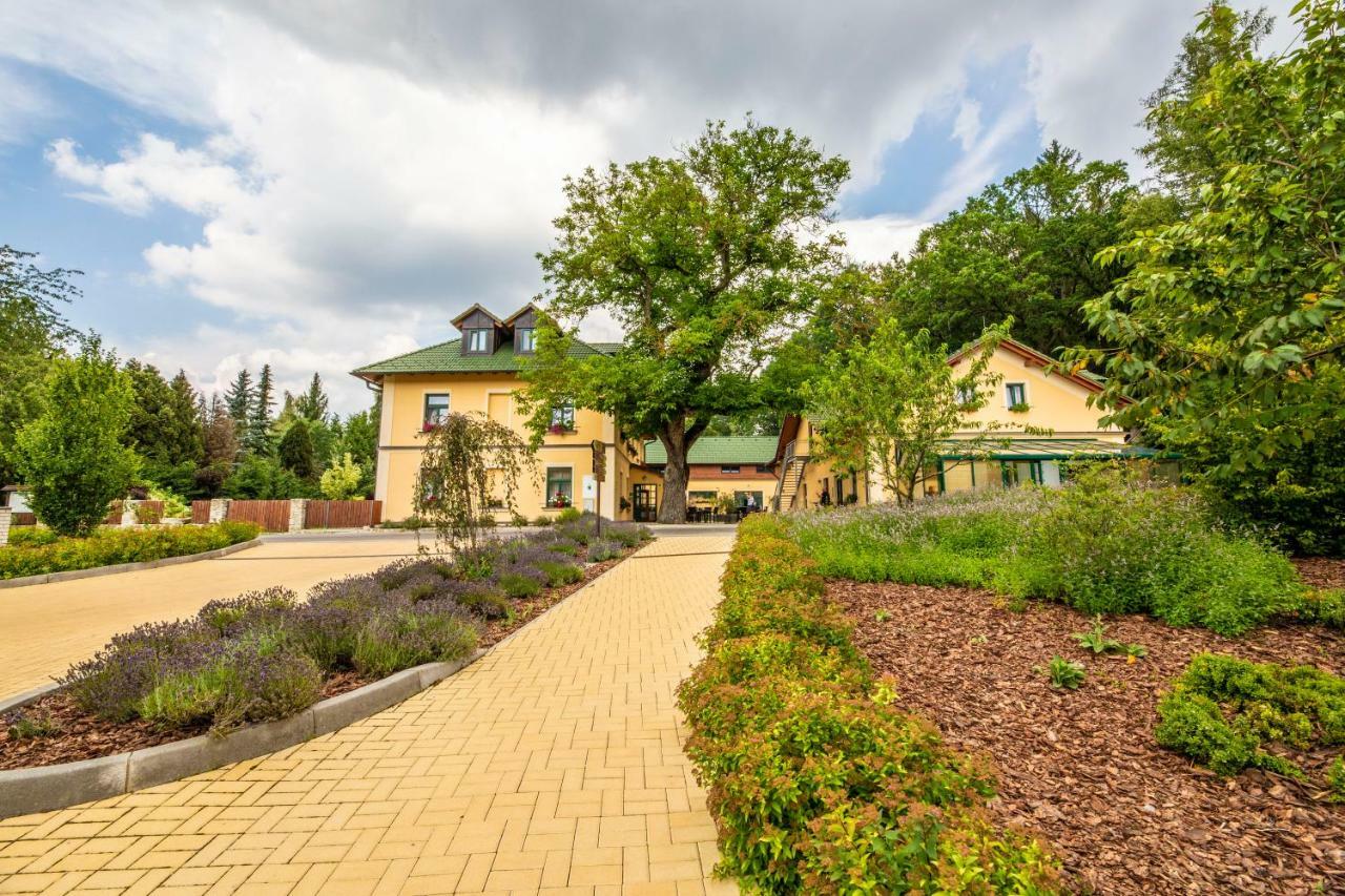 Resort Johanka Kamenice nad Lipou Exterior photo